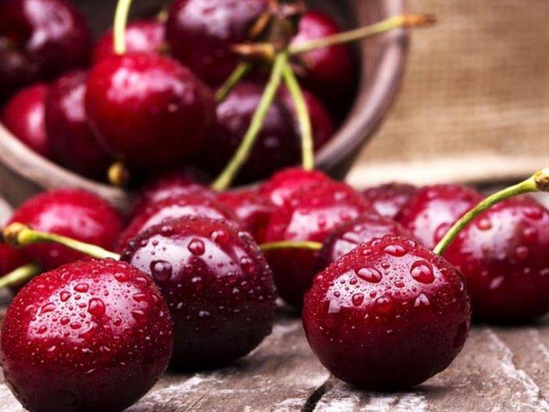 Вишня купить саженцы из питомника в Якутске